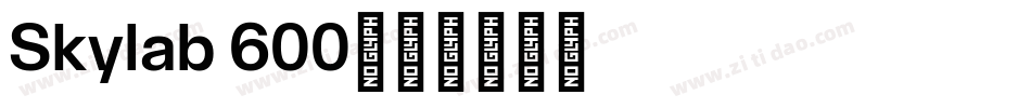 Skylab 600字体转换